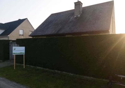 Vervuild, mosbegroeid dak in Maldegem voor de behandeling